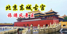 肉棒插屄视频网站中国北京-东城古宫旅游风景区